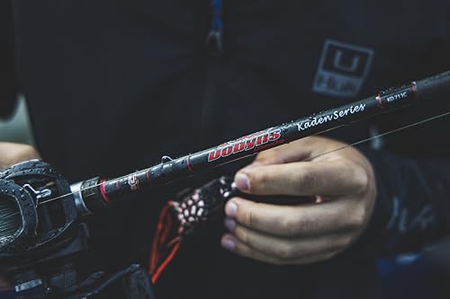 Kaden Travel SWIMBAIT