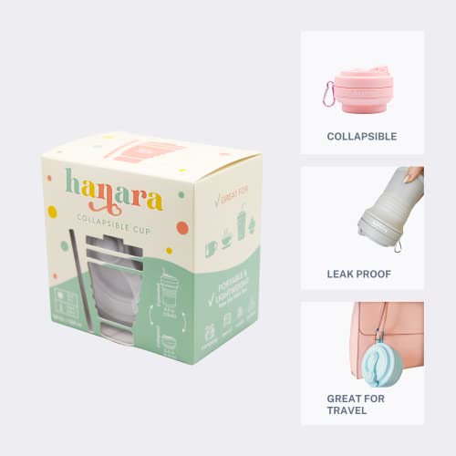 Collapsible Cup with Reusable Straw
