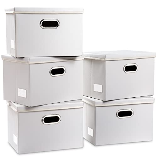 Foldable Storage Bins with Lids [5 (5 Count)