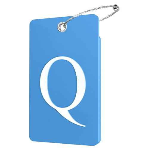 2 Pack Initial Luggage Tags for Suitcases Airplane Travel Essentials (2 Count)