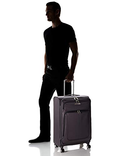 Solyte DLX Softside Expandable Luggage with Spinner Wheels