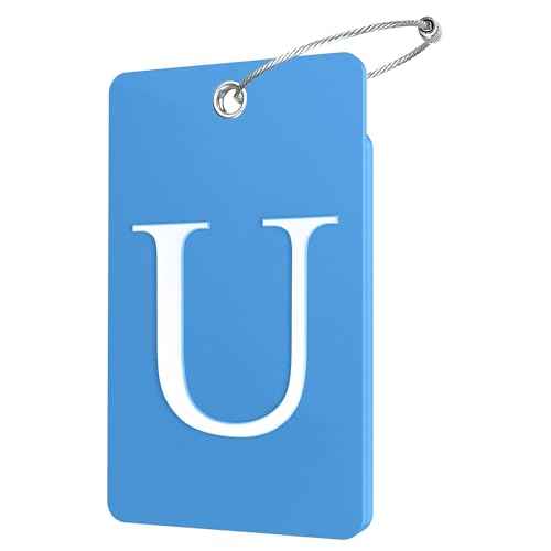 2 Pack Initial Luggage Tags for Suitcases Airplane Travel Essentials (2 Count)