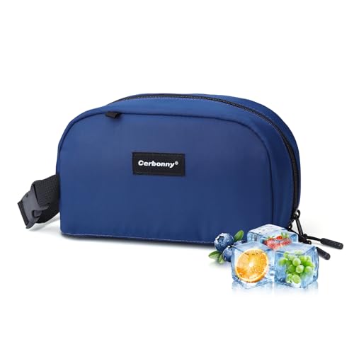 Small Cooler Bag