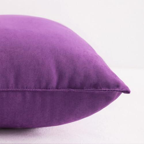 Tiny Pillows Down Alternative 7"x11" Microfiber Mini Pillow for Travel (2 Count)