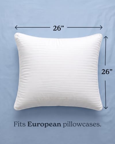 Euro Size Throw Pillows