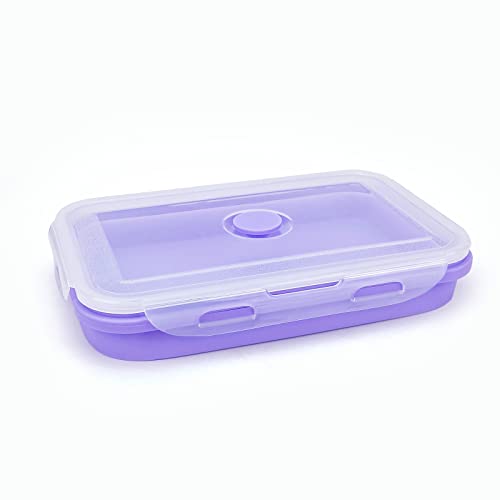Purple Collapsible Sandwich Container