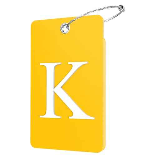 2 Pack Initial Luggage Tags for Suitcases Airplane Travel Essentials (2 Count)
