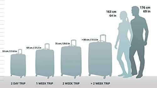 Melbourne Hardside Expandable Spinner Wheel Luggage