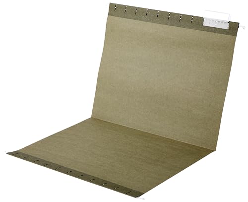 Hanging File Folders with Adjustable Tabs (25 Count)