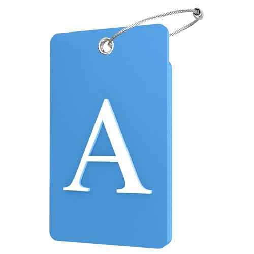 2 Pack Initial Luggage Tags for Suitcases Airplane Travel Essentials (2 Count)