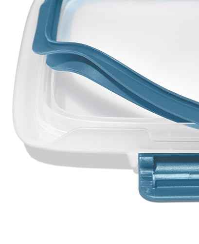Good Grips Prep & Go Food Storage Salad Container