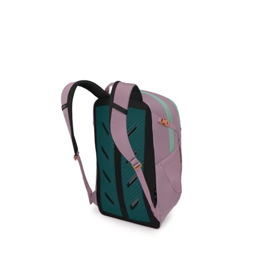 Axis Iris Pink OS