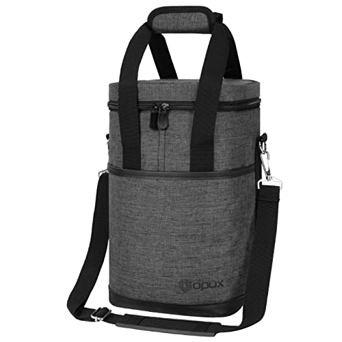 Insulated Wine Cooler Bag