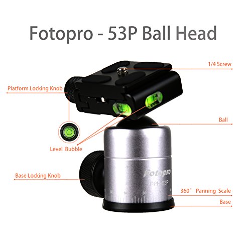 Camera Tripod 55 Inch Aluminum Ball Head Quick Release Plate Professional Camera Tripod for Travel Tripod Max Load Up to 17.6lbs