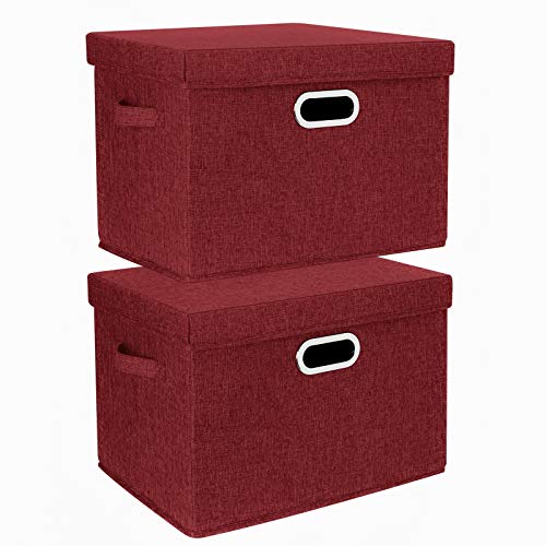 Collapsible Storage Bins With Lids (2 Count)