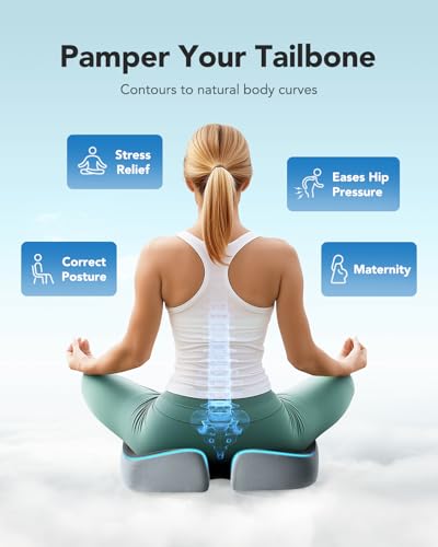 Seat Cushion for Office Chair