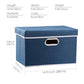 Collapsible Storage Bin with Lid [1