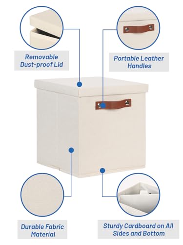 Foldable Fabric Storage Bins with Lids (2 Count)