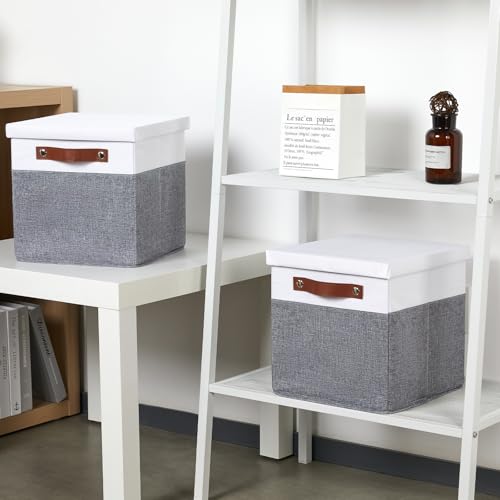 Foldable Fabric Storage Bins with Lids (2 Count)