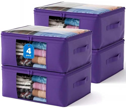 Clothes Storage Bags (4 Count)