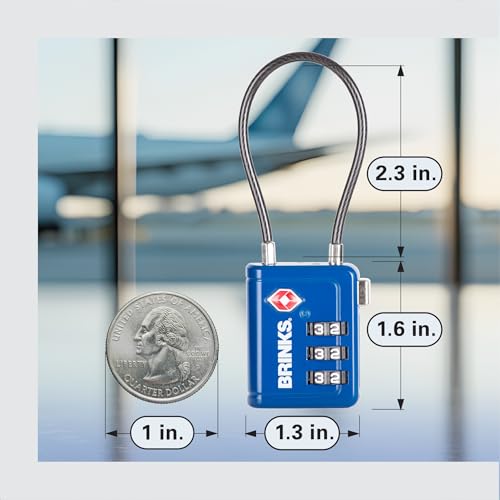 TSA Accepted Indicator Luggage Lock (2 Count)