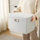 Collapsible Storage Bin with Lid [5 (5 Count)