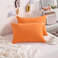 Toddler Pillows (2 Count)