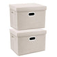 Collapsible Storage Bins With Lids (2 Count)