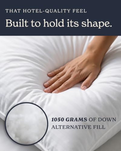 Euro Size Throw Pillows
