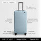 Trunk Checked Luggage