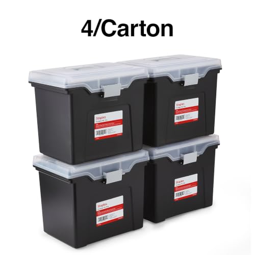 File Box Portable Tote (4 Count)