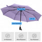 Compact Travel Size Umbrella for Rain