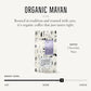 Organic Mayan Whole Bean Coffee (12 Ounce)