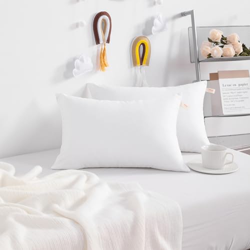 Toddler Pillows (2 Count)