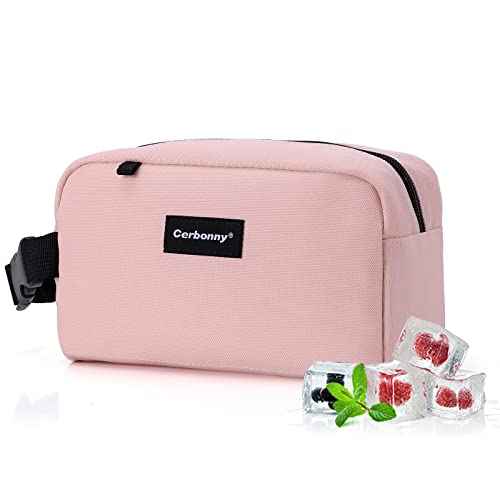 Small Cooler Bag