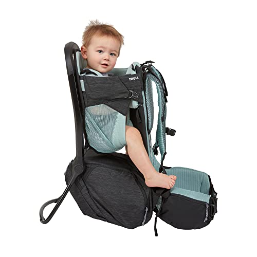 Sapling Child Carrier Backpack