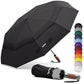 Compact Travel Umbrella for Rain