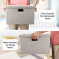 Large Quart Collapsible Stackable Storage Bins with Lids (3 Count)