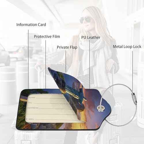 2 Pack Luggage Tags for suitcases Redeemer TSA Approved Label Luggage Tag Baggage Tag Leather Stainless Steel Loop Label Tag for Men Women Travel Bag Suitcase (2 Count)