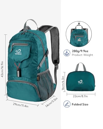 Small Lightweight Packable Backpack