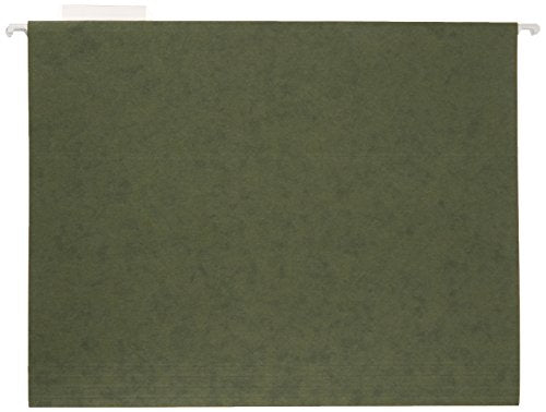 Hanging File Folders with Adjustable Tabs (25 Count)