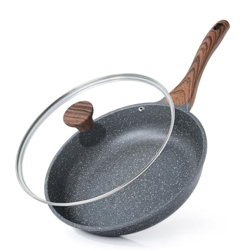 11inch Nonstick Frying Pan Chef's Pan with Glass Lid