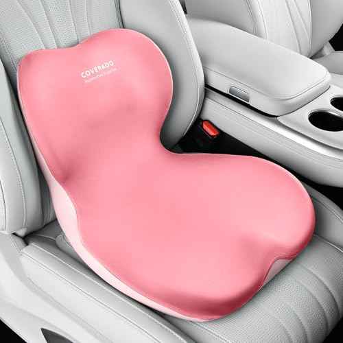 Car Seat Cushion and Lumbar Support Pillow One Piece