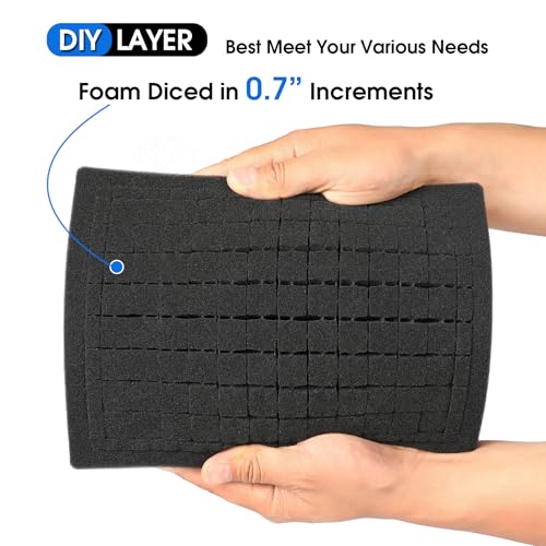 Case Organizer for GoPro Hero 13