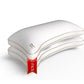 Queen 2 Pack Memory Foam Pillow (2 Count)