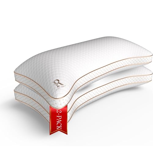 Queen 2 Pack Memory Foam Pillow (2 Count)