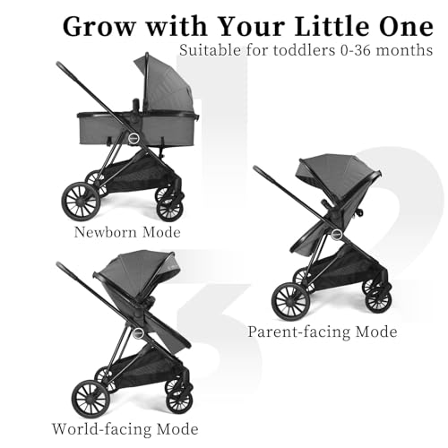 Lite 2.0 Baby Stroller with Newborn to Tollder Mode