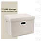 Collapsible Storage Bins With Lids (2 Count)