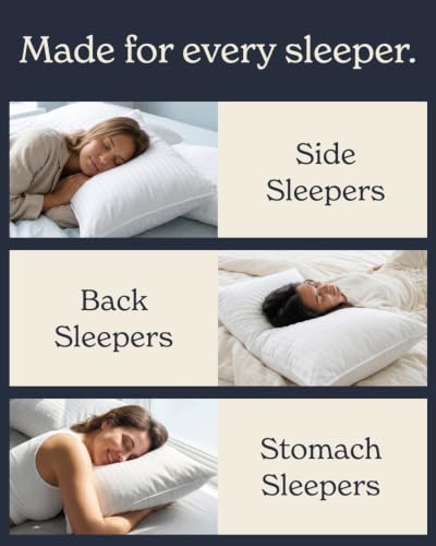 Bed Pillows Standard (2 Count)