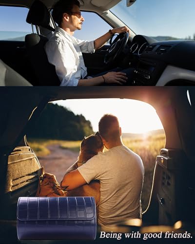 2 Watch Travel Case